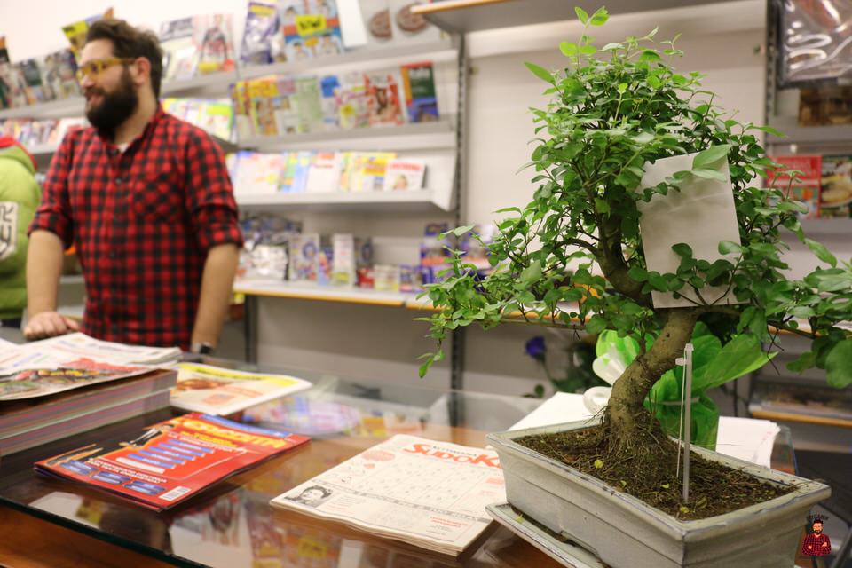 Apertura Bregamin Edicola & Cartolibreria (57)